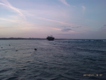 photo 290166
