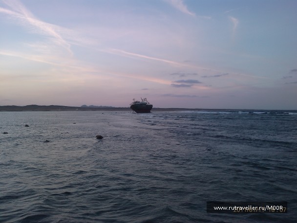 photo 290166