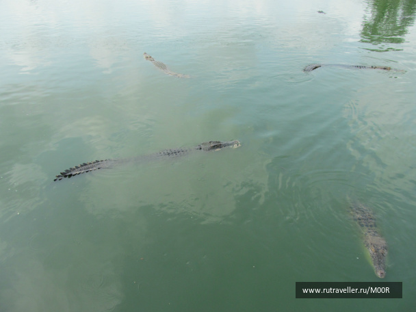 photo 290150