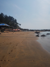 photo 1208211