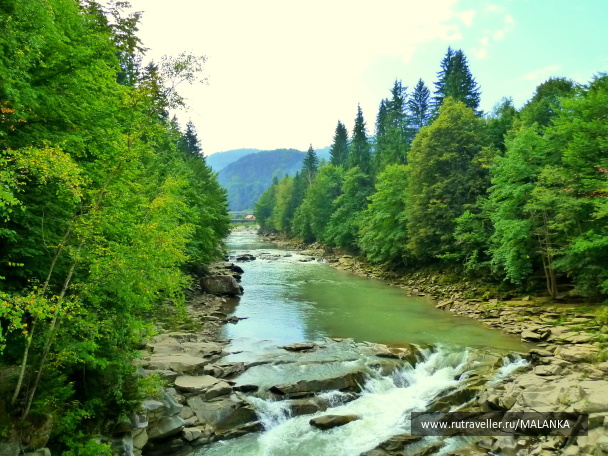 photo 1141736