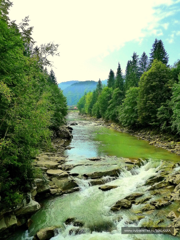 photo 1141737