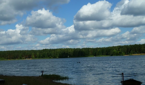 P1030881