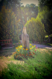photo 1265459