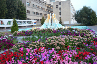 photo 1102072
