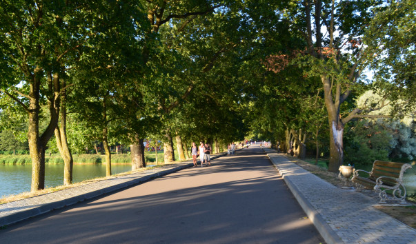 DSC_1195
