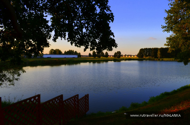 photo 1113012