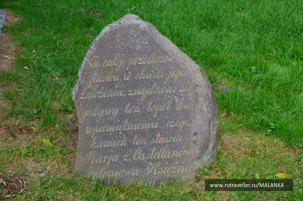 photo 1675904