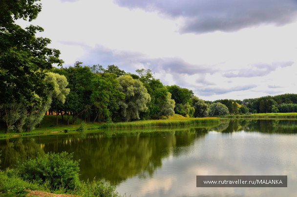 photo 1677541