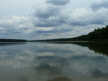 photo 940797