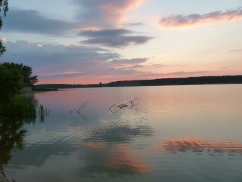 photo 940804