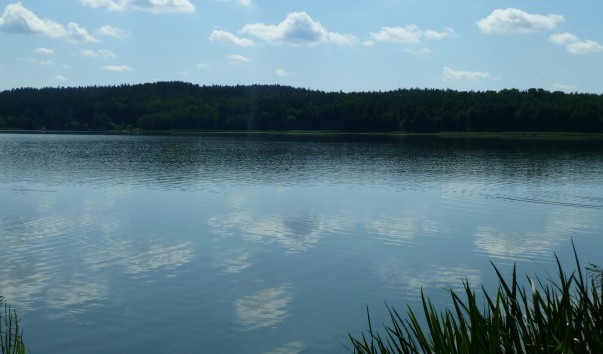 P1000743