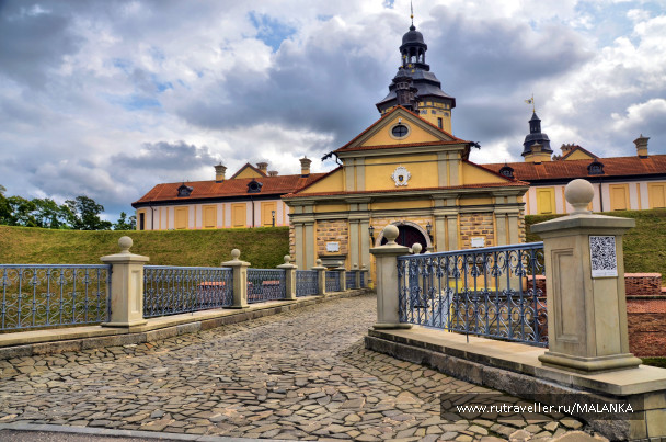 photo 1677544