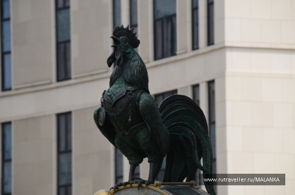 photo 1649620