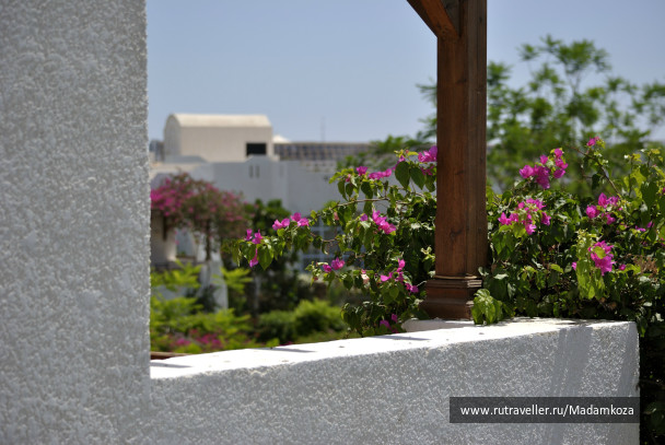 photo 240082
