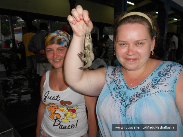 photo 1010794