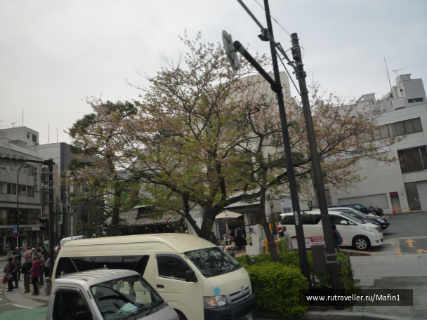 photo 1063916