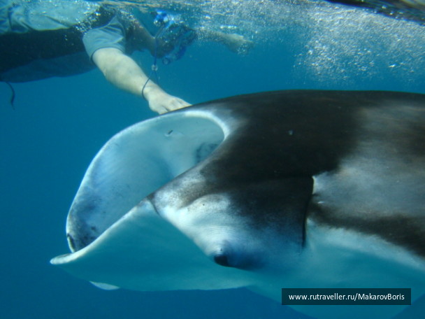 photo 260742
