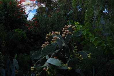 photo 789442