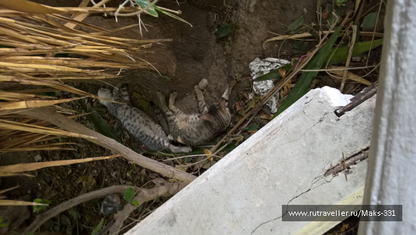photo 1600878