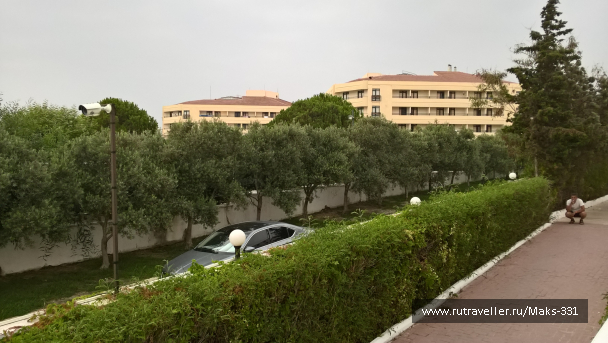 photo 1600894