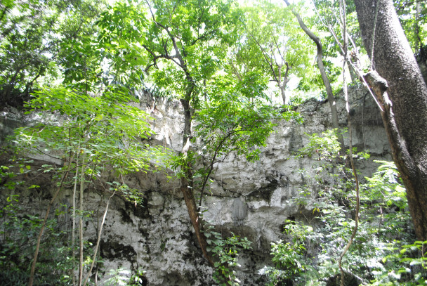 photo 1883834