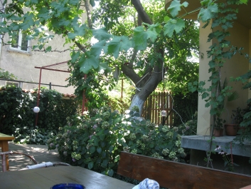 photo 753436