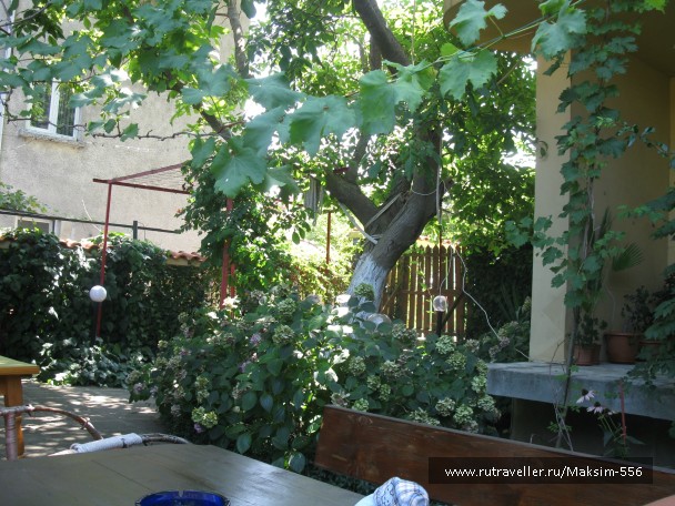 photo 753436