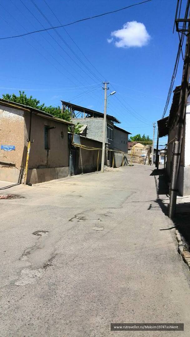 photo 1523803