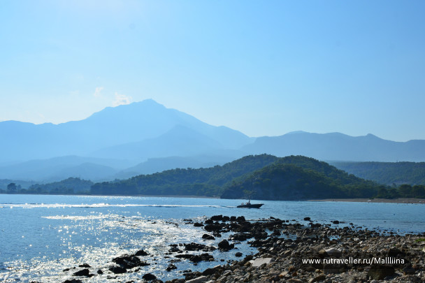 photo 1142963