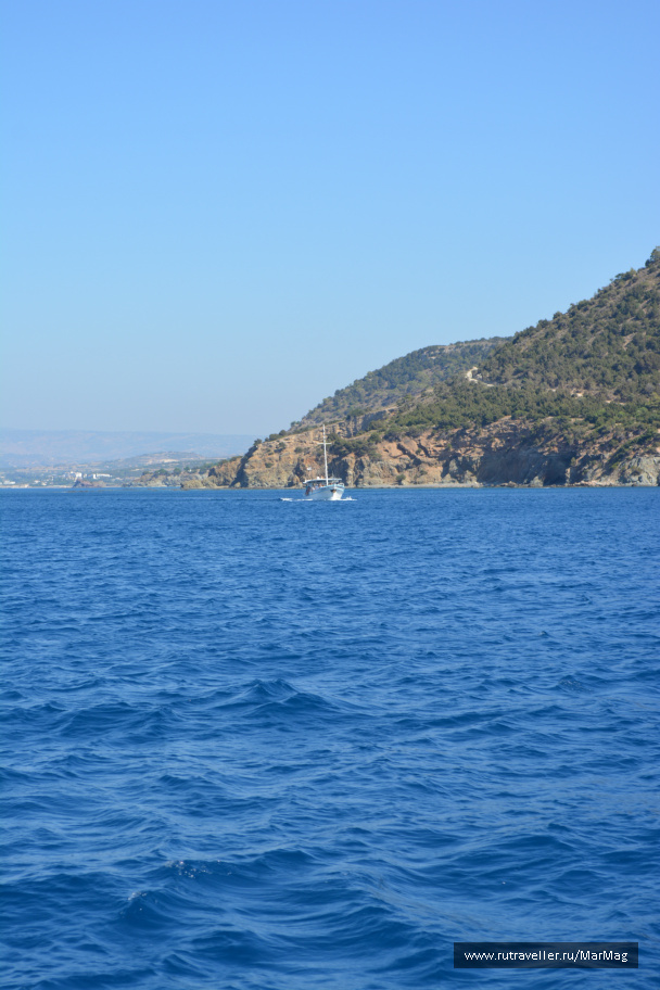 photo 473995