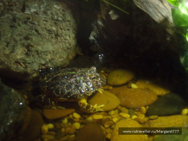 photo 202370