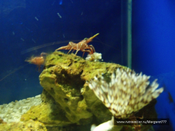 photo 202376