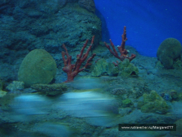photo 202378