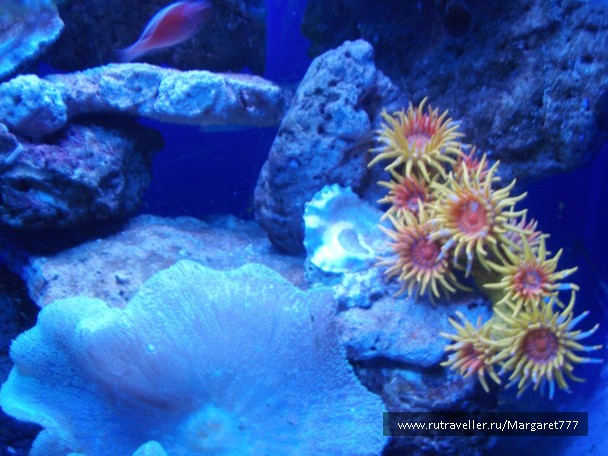 photo 202379