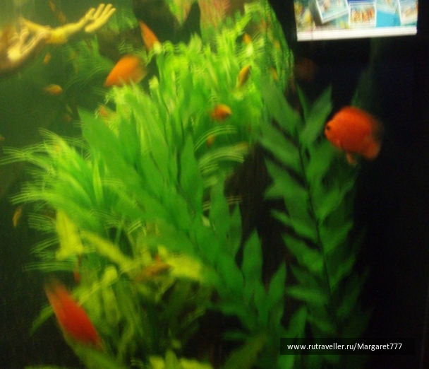photo 202384
