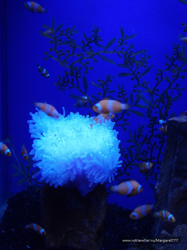 photo 202387