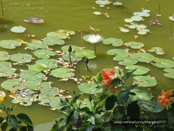 photo 205983