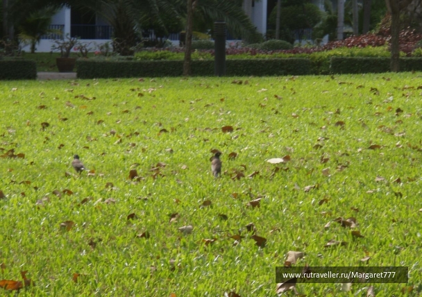 photo 206052