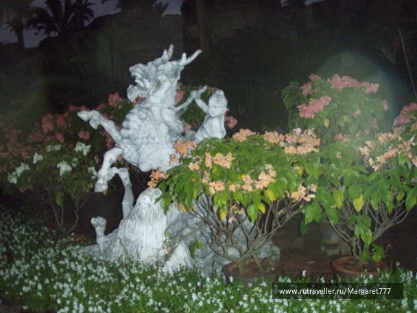photo 206490