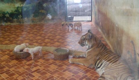 photo 280558