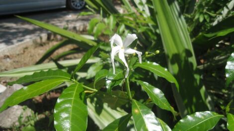 photo 280563
