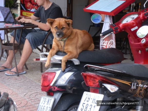 photo 1638811