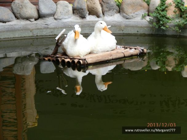photo 1638815