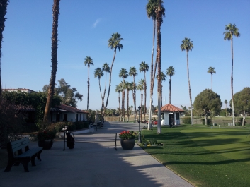 photo 474808