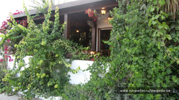 photo 484876