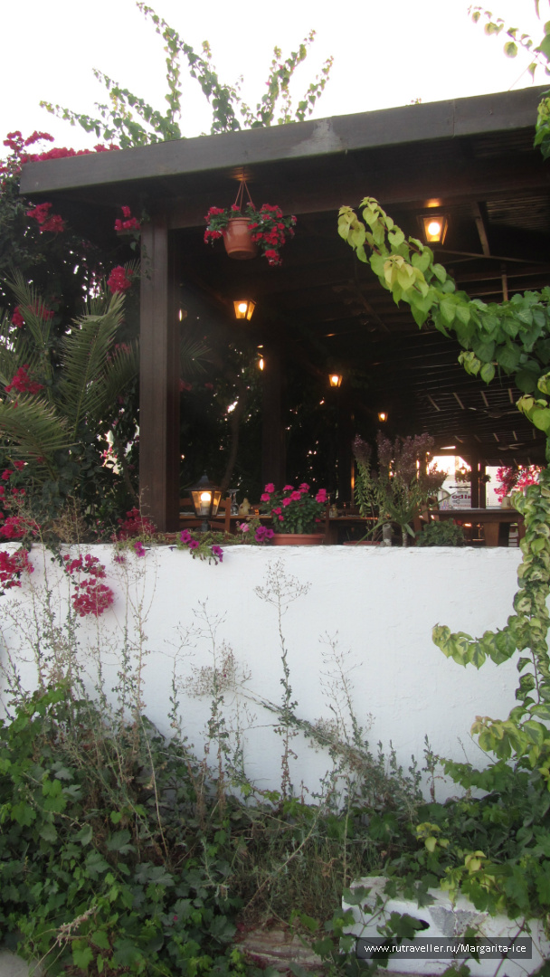 photo 484877