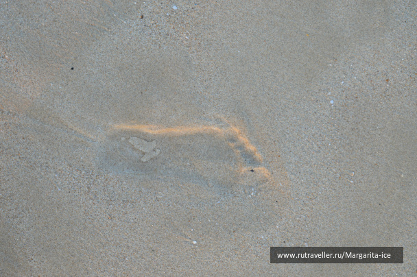 photo 484898