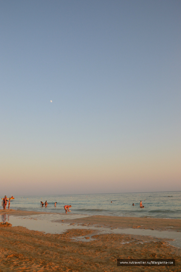 photo 484913