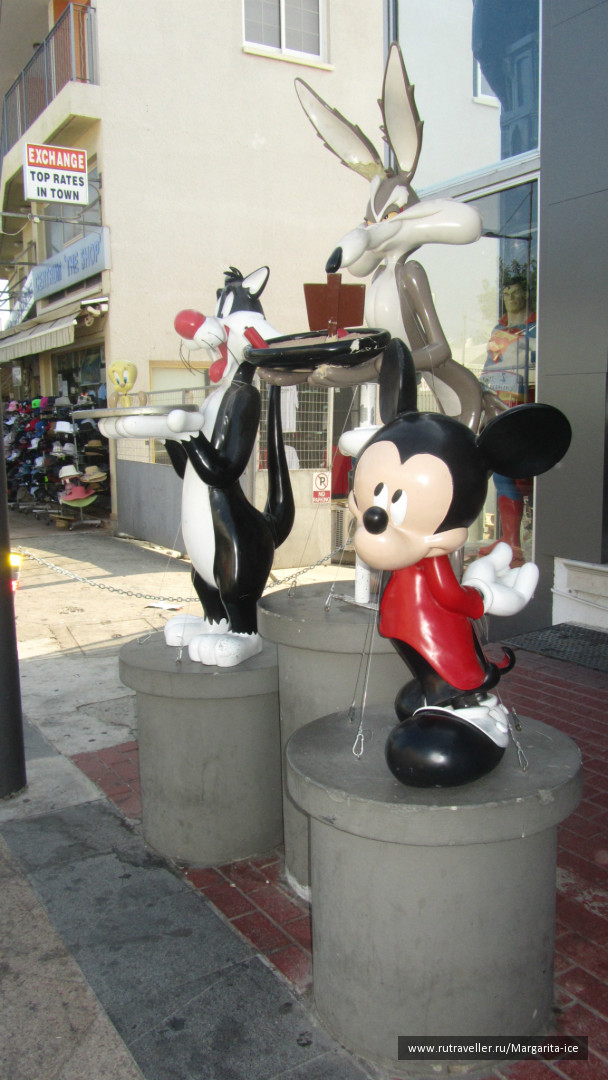 photo 484924